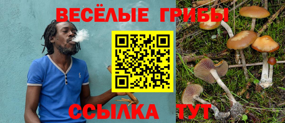 хочу   Вход с VPN  Вичуга  Галлюциногенные грибы Cubensis 