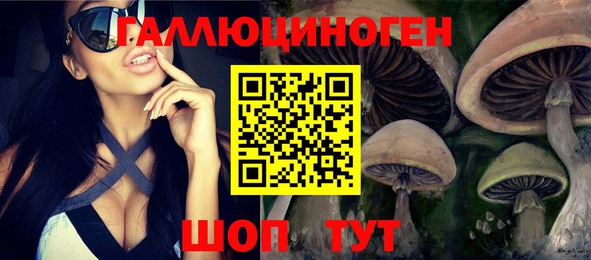 Галлюциногенные грибы Psilocybe Вичуга